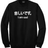 I am Sad japan font sweater gift
