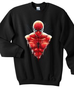 SpiderMan homecoming sweater gift