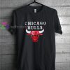 Chicago Bulls t shirt