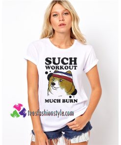 Such Workout Much Burn, Funny Meme Gym Jogging Jogger